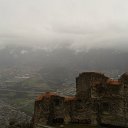 tor (55)